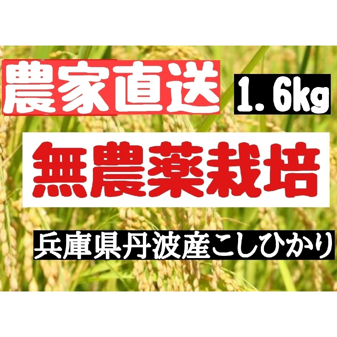 兵庫県丹波産こしひかり玄米1.6kg(令和4年産)の通販 by お米マイスター