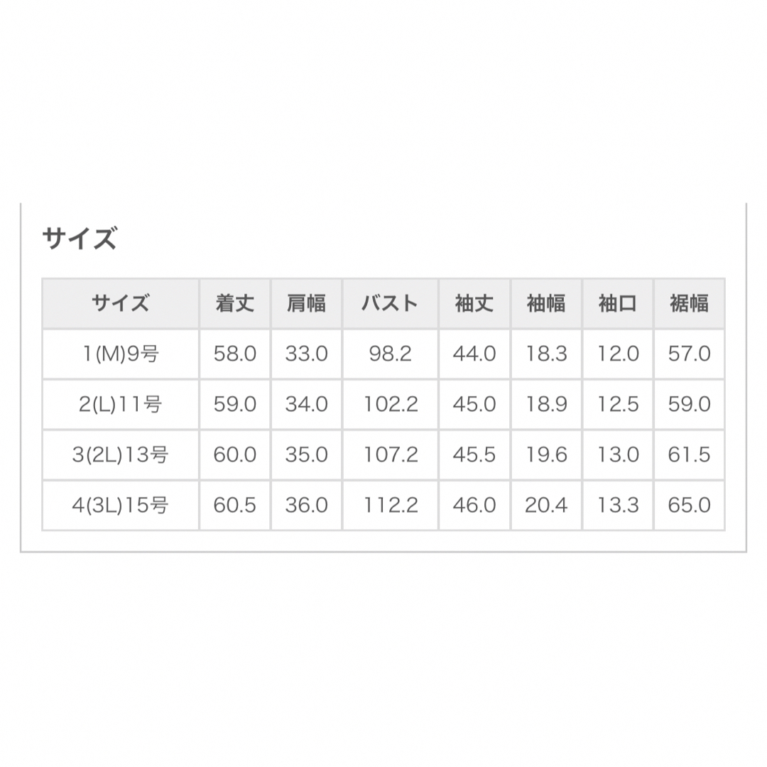 NARACAMICIE(ナラカミーチェ)のナラカミーチェNARACAMICIE合繊カットソーアシメフリルブラウス4 レディースのトップス(シャツ/ブラウス(長袖/七分))の商品写真