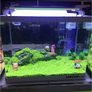 ☆ 2023 LED水族館ランプ、タイマー付き7/24自動 、植物成長用 427