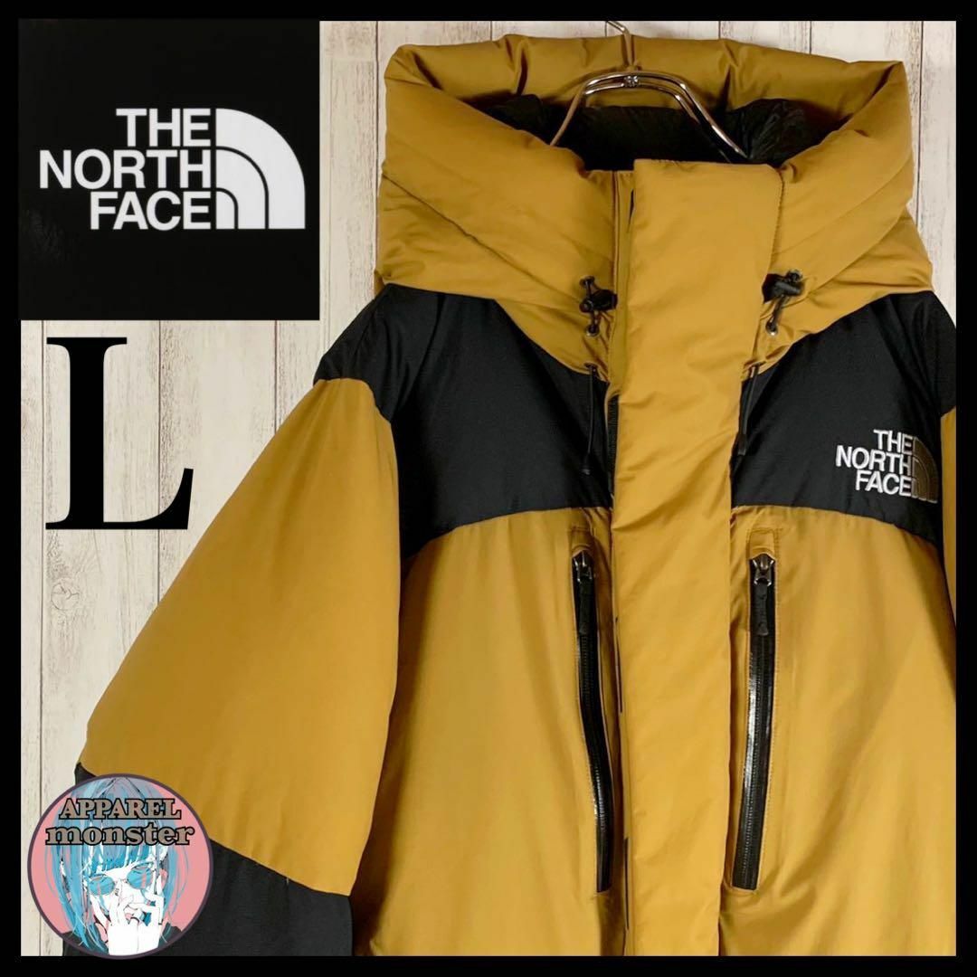 THE NORTH FACE ノースフェイス ダウンジャケット ND91840 BALTRO LIGHT JACKET バルトロライト ダウン ジャケット ブラック系 L【極上美品】