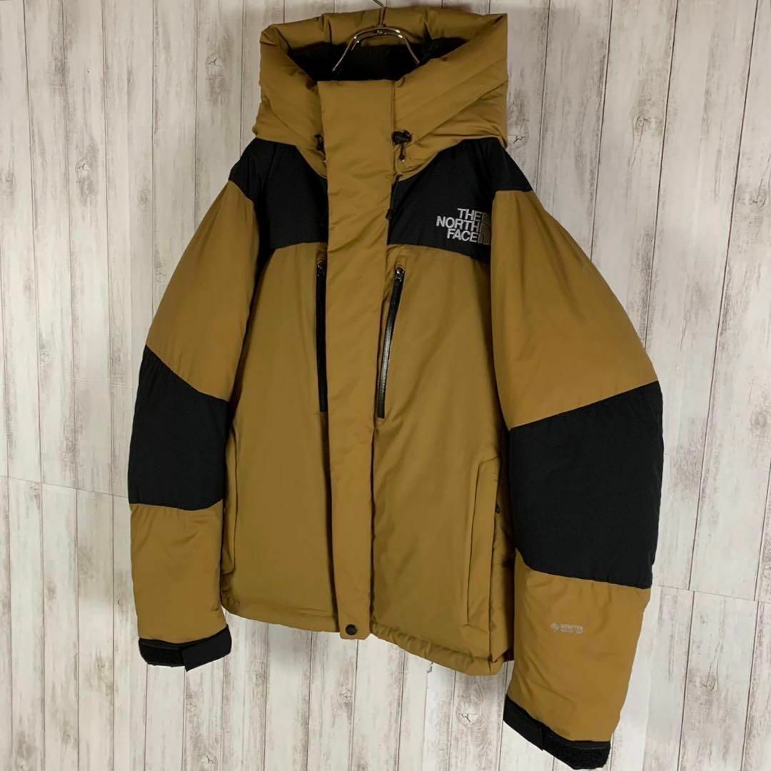 THE NORTH FACE - 【即完売モデル】ノースフェイス 希少カラー