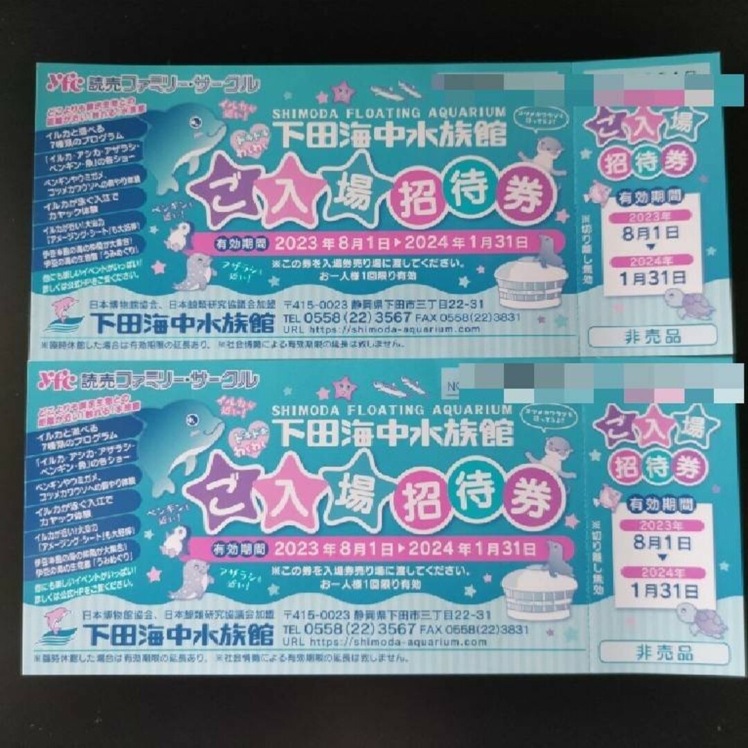 下田海中水族館入場券２枚 チケットの施設利用券(水族館)の商品写真