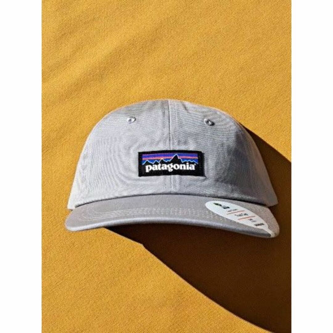 パタゴニア Trad Cap P-6 Label トラッド DFTG 2019