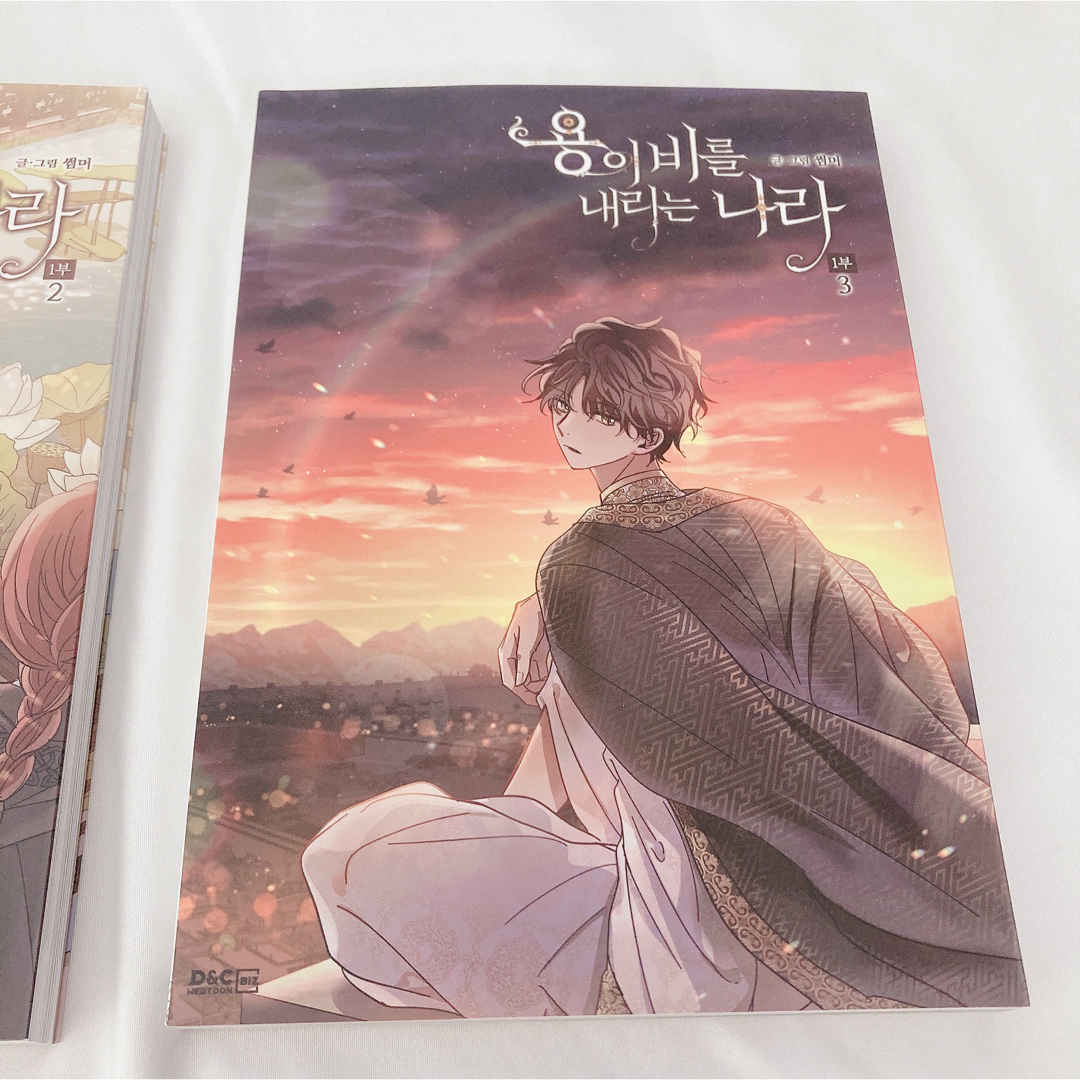 韓国漫画  ピッコマ 韓国BL 砂漠に降りそそぐ龍の雨  1部 まとめ売り 3