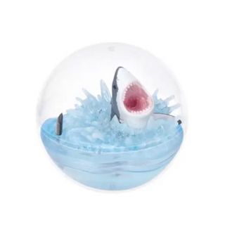 ★ガチャガチャ★カプリウムコレクション海洋生物２　クオリア　ホホジロザメ(その他)