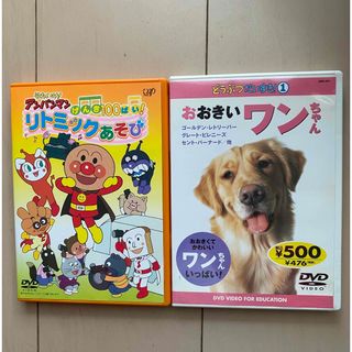 アンパンマン(アンパンマン)の【DVD】アンパンマンリトミックあそび（おまけ→おおきいワンちゃん）(キッズ/ファミリー)