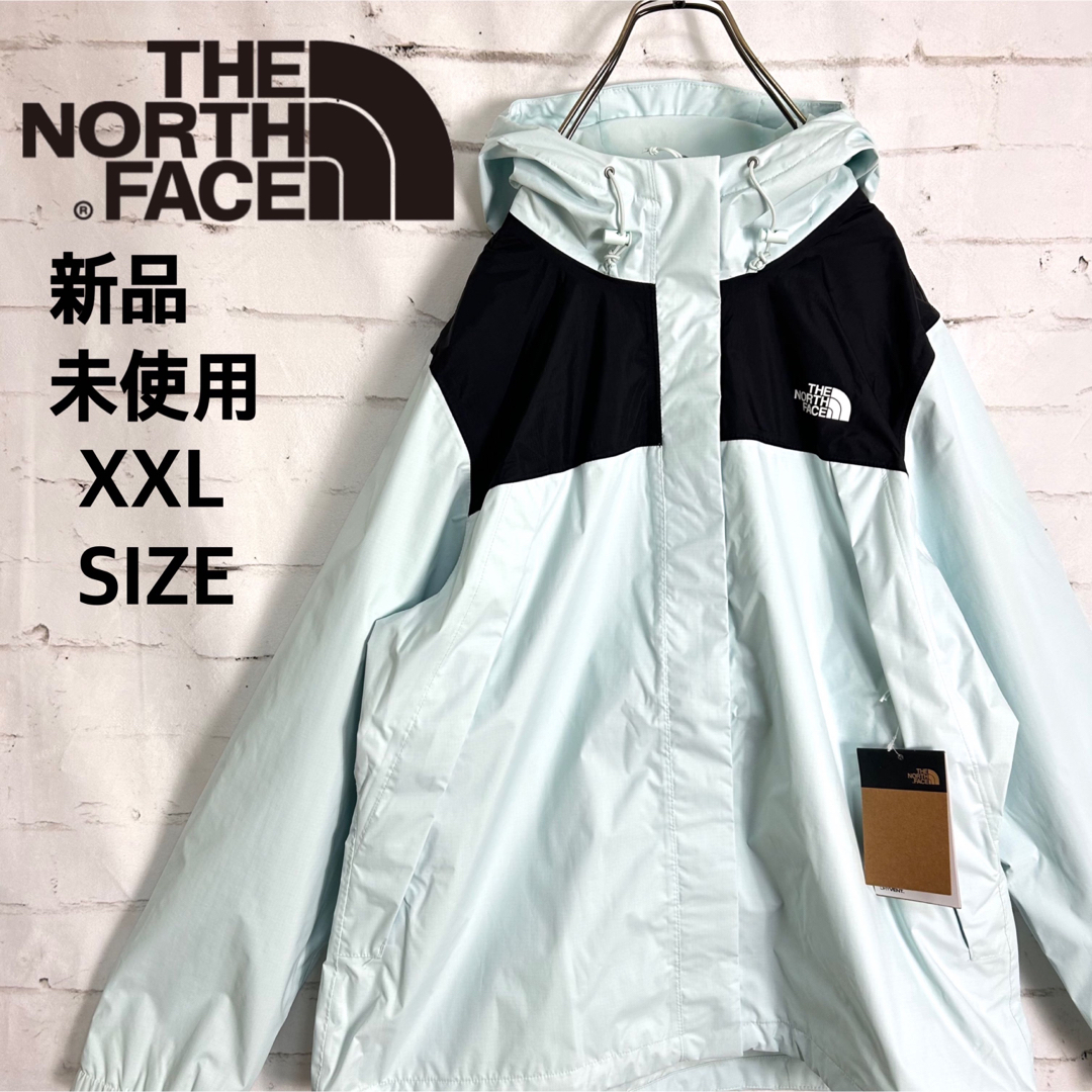 THE NORTH FACE  マウンテンパーカー　メンズ　Lサイズ　海外購入