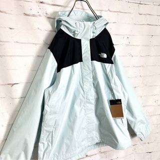 THE NORTH FACE - 新品‼︎海外限定 黒×水色 ノースフェイス ビッグ