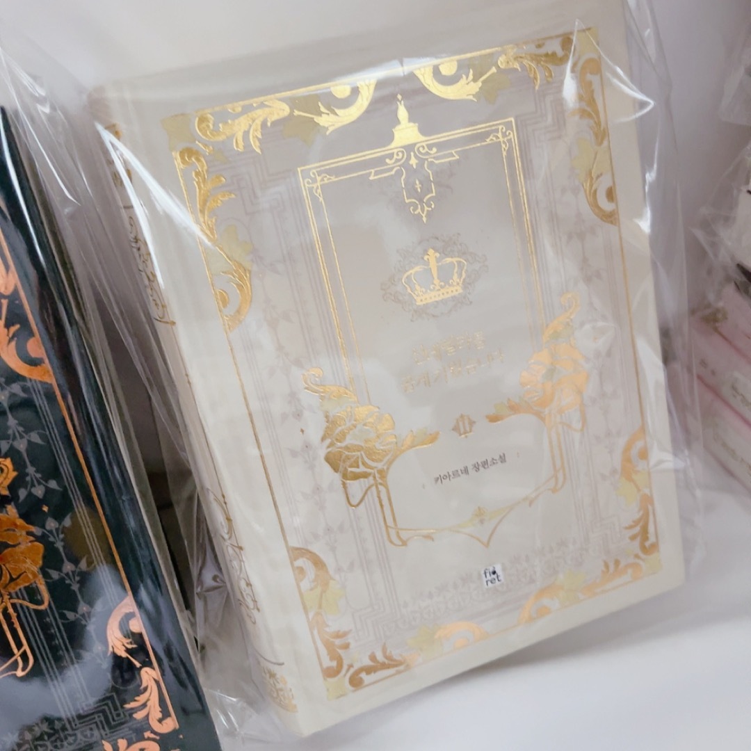 韓国漫画 ピッコマ シンデレラを大切に育てました 原作小説 予約購入限定版 韓国漫画 ピッコマ シンデレラを大切に育てました 原作小説 予約購入限定版