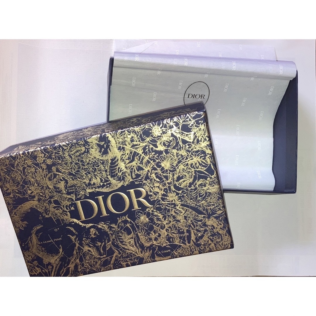 Dior(ディオール)のDIOR 空箱 レディースのバッグ(ショップ袋)の商品写真