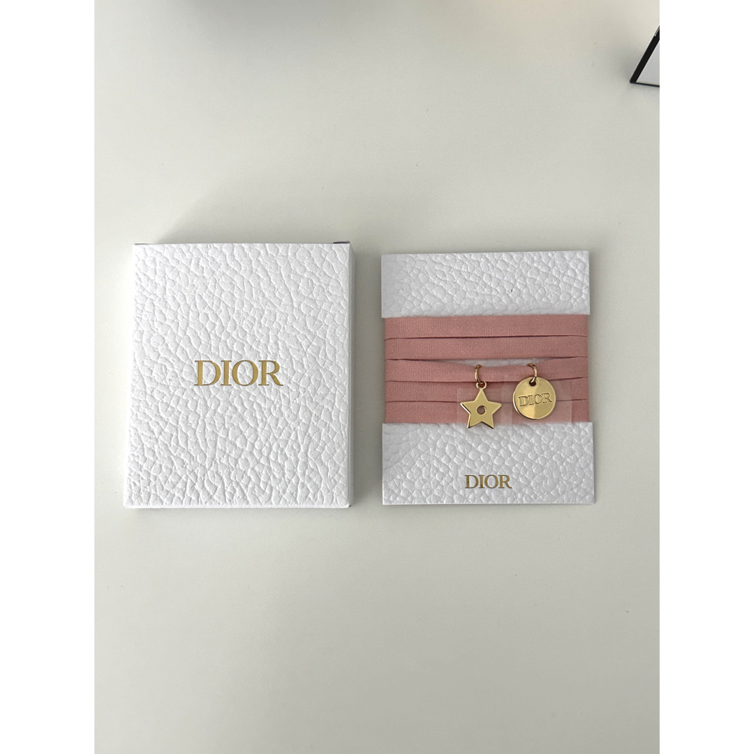 Dior(ディオール)のDior ノベルティ エンタメ/ホビーのコレクション(ノベルティグッズ)の商品写真