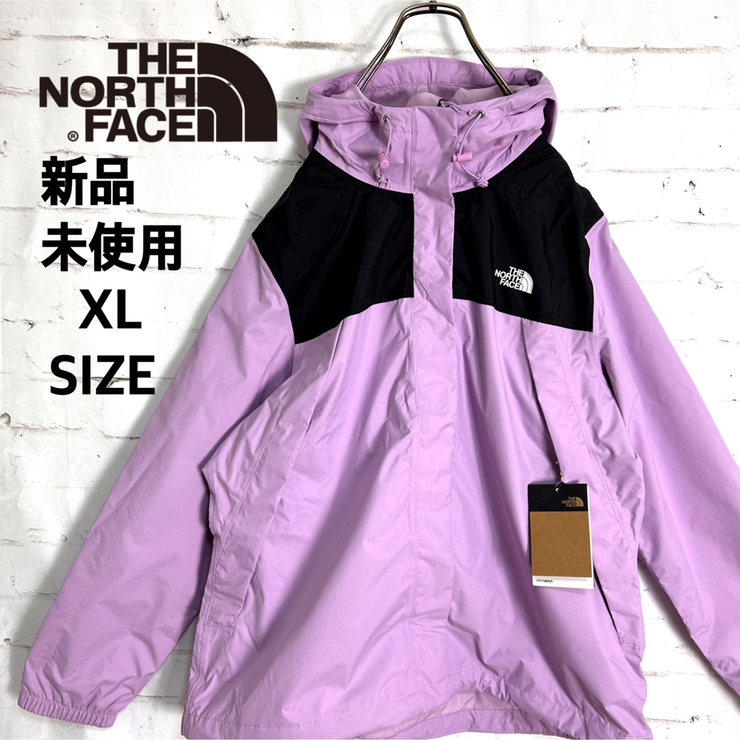 新品 希少 THE NORTH FACE ノースフェイス マウンテンパーカー L-