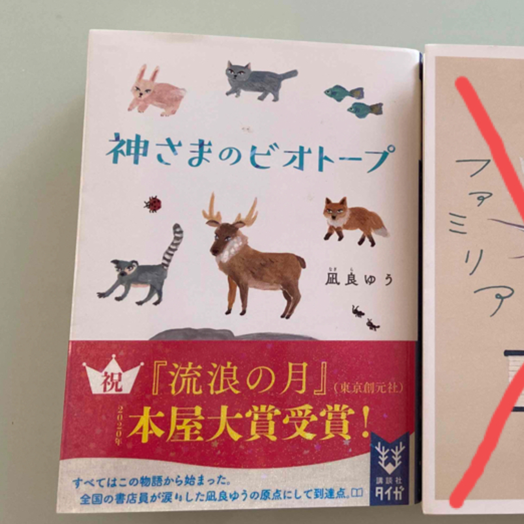 神さまのビオトープ　凪良ゆう エンタメ/ホビーの本(文学/小説)の商品写真