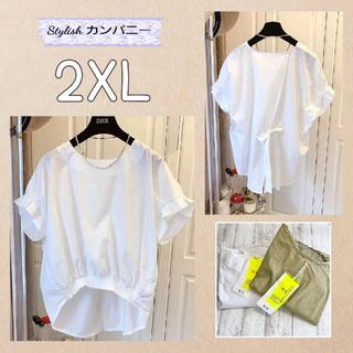 流行で可愛いデザインブラウス！*☆*バックリボン　半袖　ホワイト　2XL*☆*(シャツ/ブラウス(半袖/袖なし))