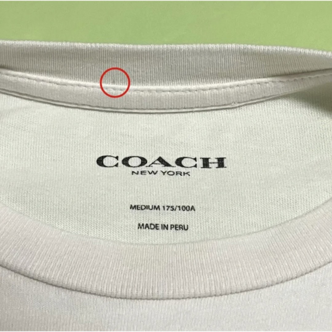 COACH - 【人気】COACH コーチ ロゴTシャツ 半袖Tシャツ シグネチャー 