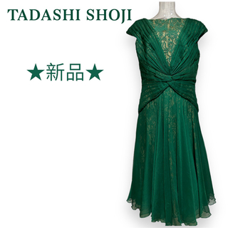 タダシショウジ(TADASHI SHOJI)のタダシショージ　フレアワンピース　サイズ１０・Ｌ　TADASHI SHOJI(ミディアムドレス)