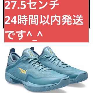 アシックス(asics)の27.5 新品　グライドノヴァ  GLIDE NOVA FF3 asics(バスケットボール)