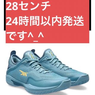 アシックス(asics)の 28 新品　グライドノヴァ  GLIDE NOVA FF3 asics(バスケットボール)