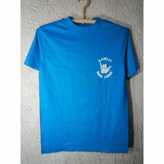 ヘインズ(Hanes)のo6828　レア　ヘインズ　80ｓ　アメリカ製　ビンテージ　tシャツ　ハワイ(Tシャツ/カットソー(半袖/袖なし))
