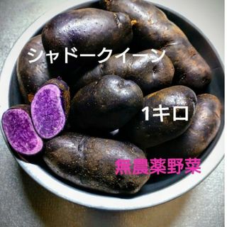 シャドークイーン　1キロ　じゃがいも　無農薬栽培(野菜)