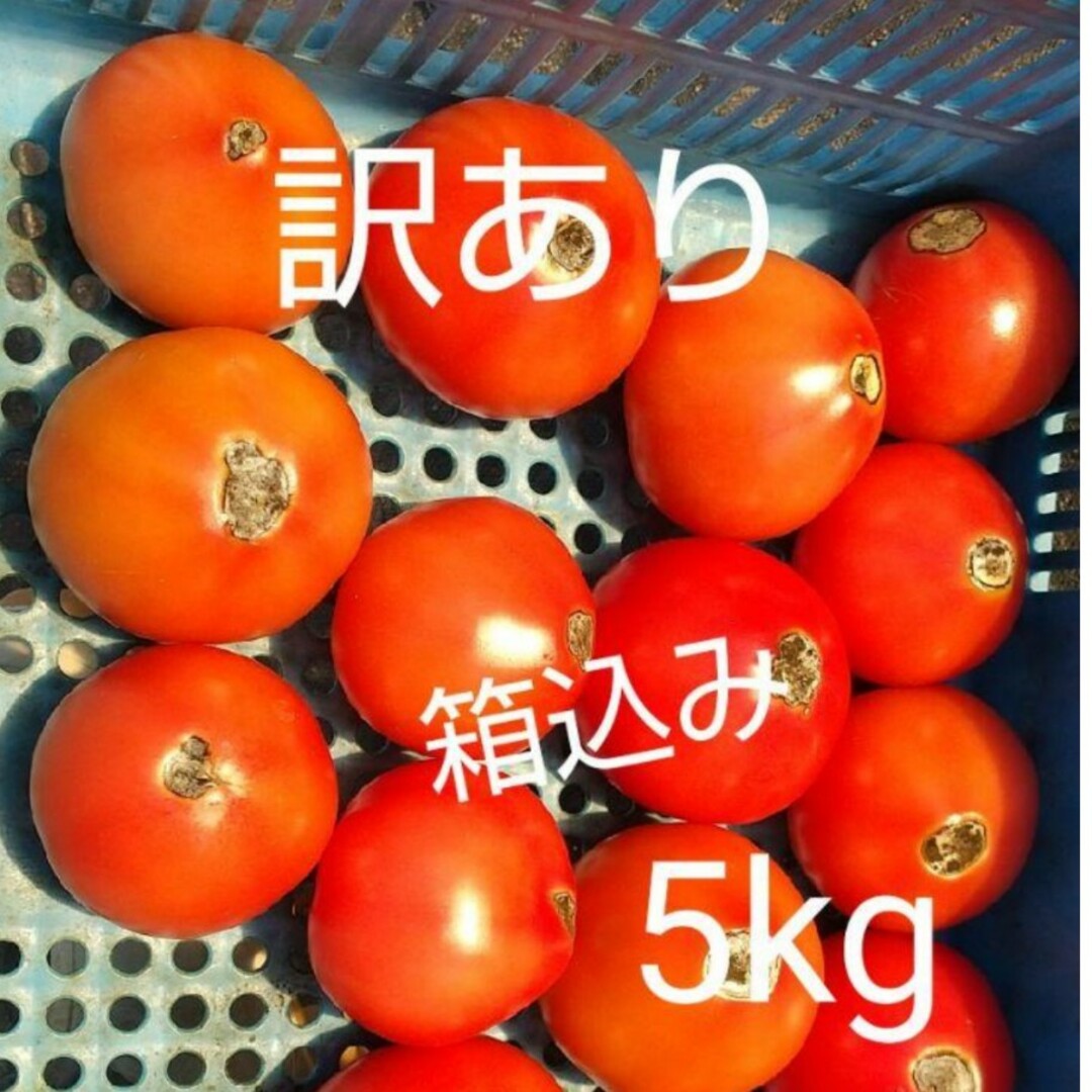 もっと訳あり　飛騨トマト　5キロ（箱込） 食品/飲料/酒の食品(野菜)の商品写真