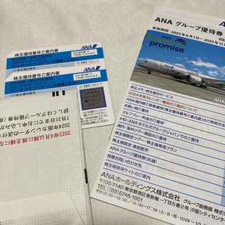 エーエヌエー(ゼンニッポンクウユ)(ANA(全日本空輸))のANA株主優待券２枚&グループ優待券上期分１冊(その他)