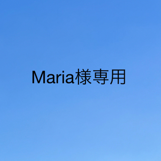 Maria様専用☆ベビーギャップ　2点セット(Ｔシャツ)