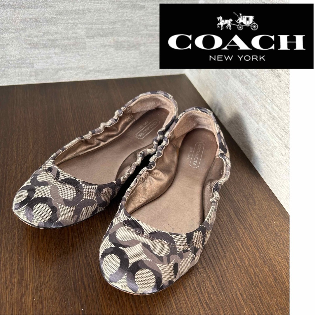 COACH(コーチ)のコーチ　バレエシューズ　シグネチャー レディースの靴/シューズ(バレエシューズ)の商品写真