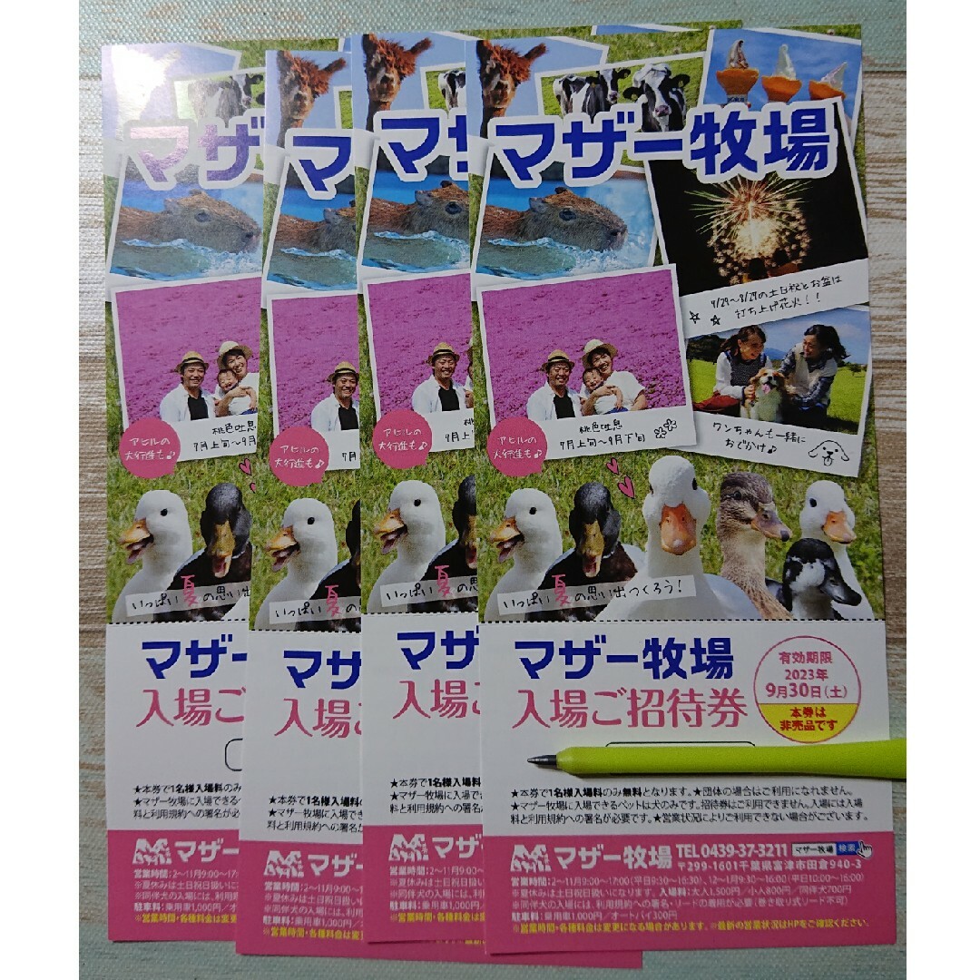 マザー牧場  入場券  利用期限9月30日 チケットの施設利用券(遊園地/テーマパーク)の商品写真