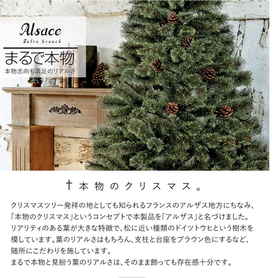 Alsace(R)公式 クリスマスツリー 180cm www.krzysztofbialy.com