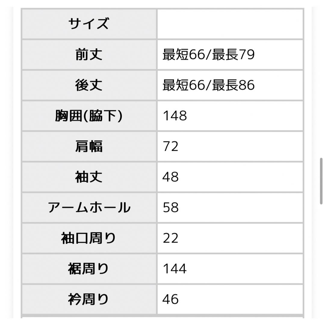 antiqua(アンティカ)のアンティカ　リネンシャツ　スタンドカラー レディースのトップス(シャツ/ブラウス(長袖/七分))の商品写真