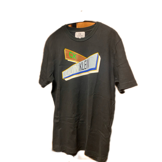 カルバンクライン(Calvin Klein)のCALVIN KLEIN カルバンクライン Tシャツ(Tシャツ/カットソー(半袖/袖なし))