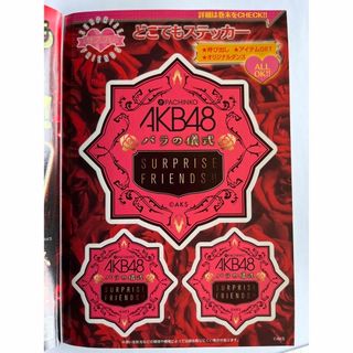 エーケービーフォーティーエイト(AKB48)の【レア非売品】AKB48チームサプライズ パンフ2種類（レアステッカー付き）(アイドルグッズ)