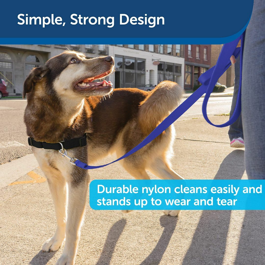 【色: ロイヤルブルー】PetSafe ナイロンリード 犬 調整簡単 耐久性が高
