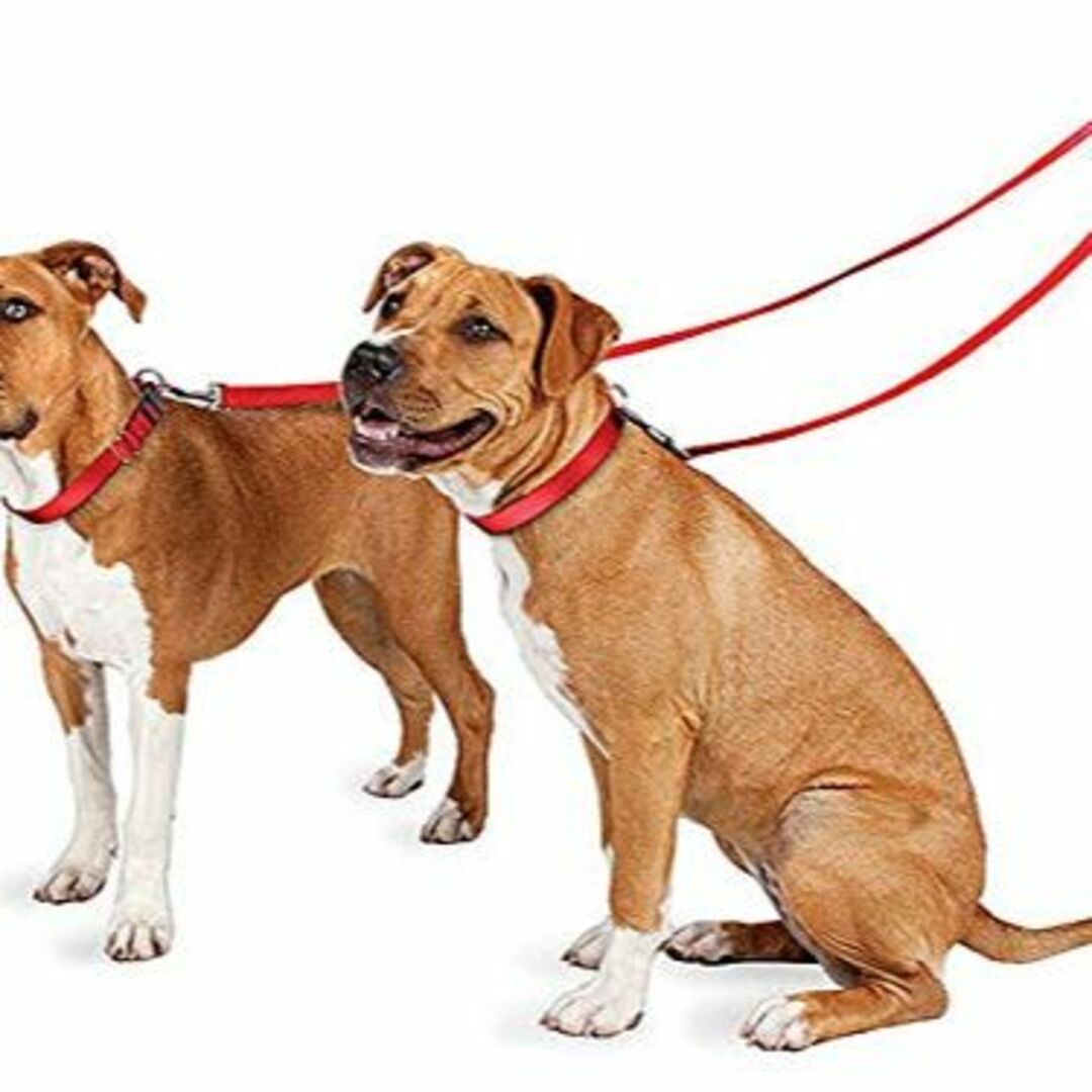 【色: レッド】PetSafe ナイロンリード 犬 調整簡単 耐久性が高い ソフ
