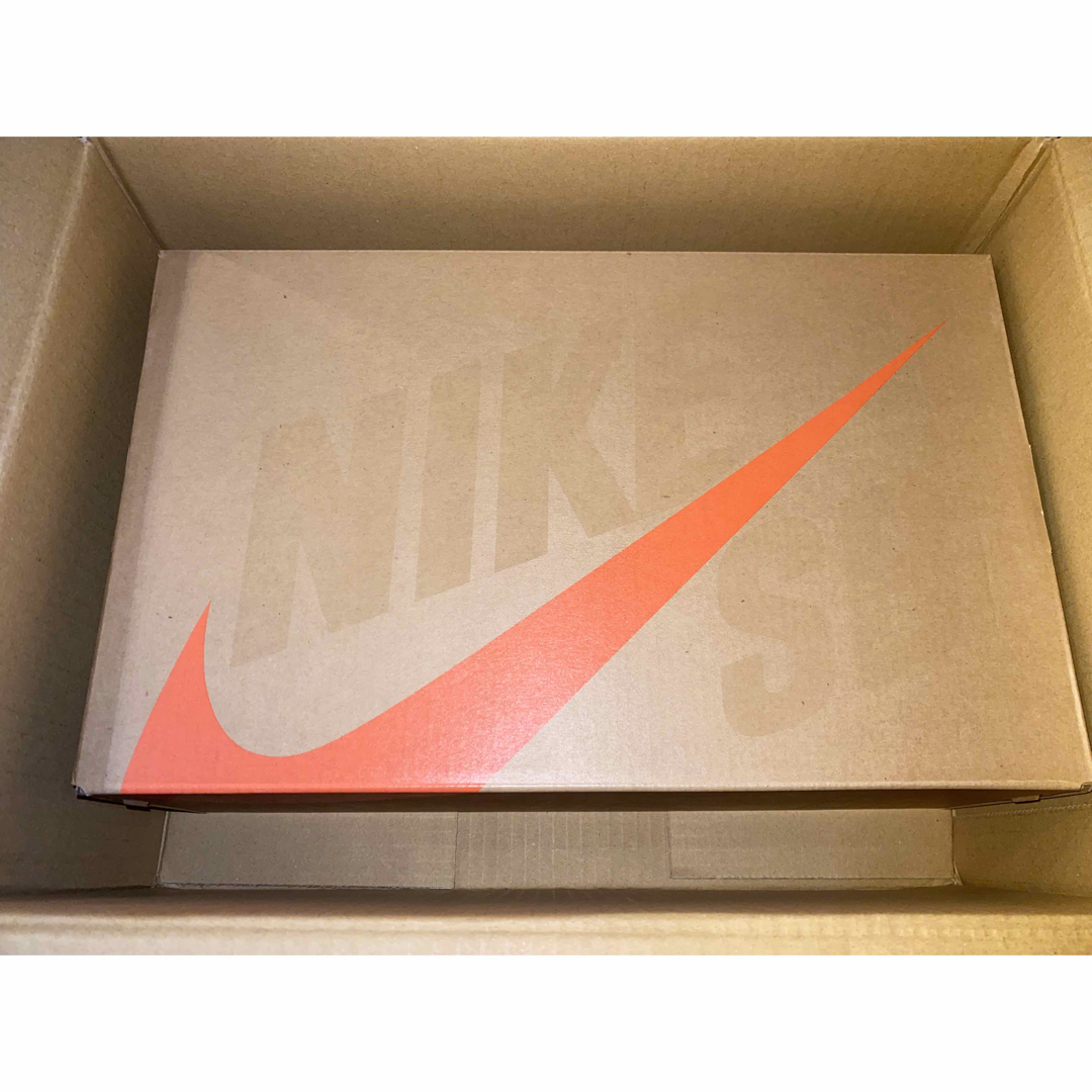 ステッカー付 新品 27cm Nike SB Dunk Low Pro ISO 3