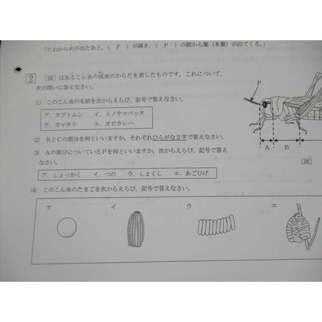 RN90-005 浜学園 第515〜527回 公開学力テスト 小4 算数/国語/理科