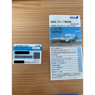 エーエヌエー(ゼンニッポンクウユ)(ANA(全日本空輸))のANA株主優待券(航空券)