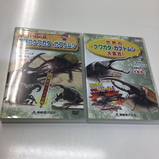 世界のクワガタ・カブトムシ　DVD2枚セット　KR0943(趣味/実用)