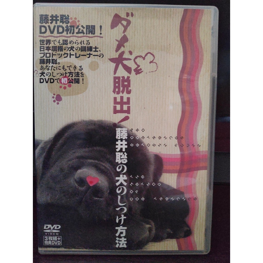 ダメ犬脱出！藤井聡の犬のしつけ方法 DVDビデオ 3枚組＋特典DVD付 4枚 エンタメ/ホビーのDVD/ブルーレイ(趣味/実用)の商品写真