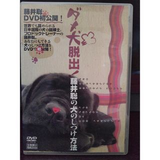 ダメ犬脱出！藤井聡の犬のしつけ方法 DVDビデオ 3枚組＋特典DVD付 4枚(趣味/実用)