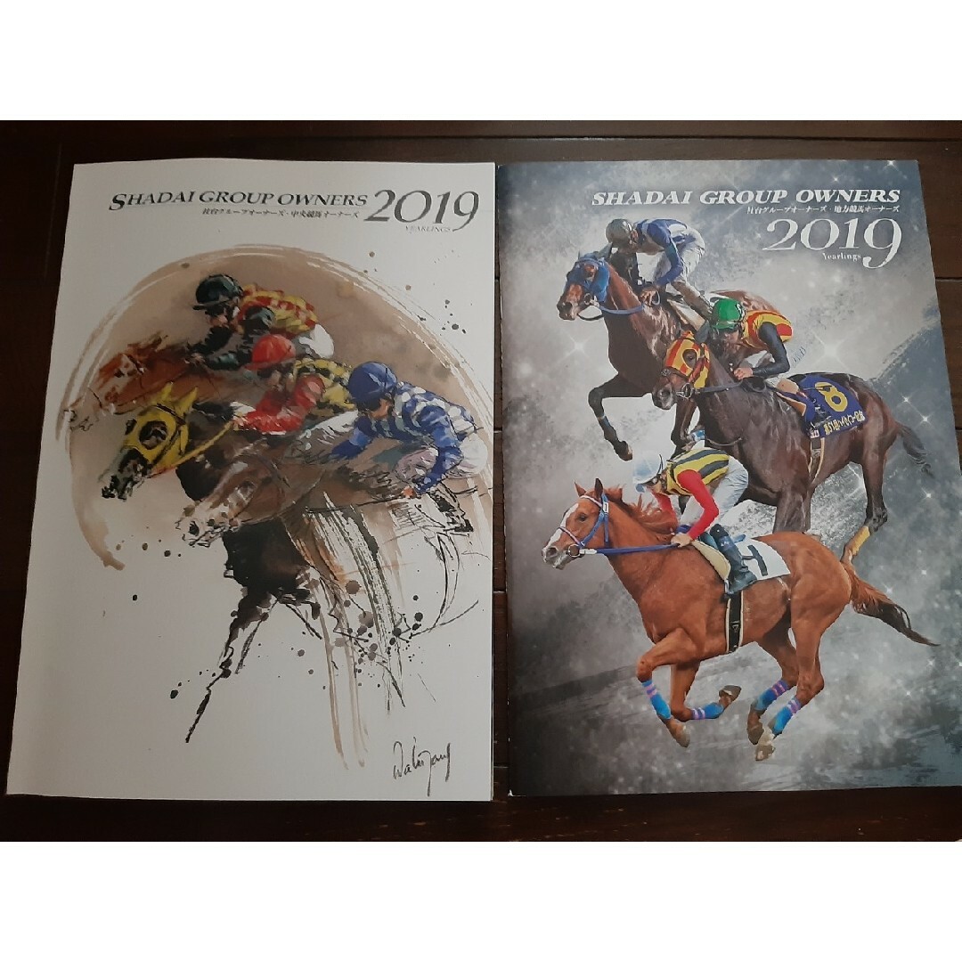 社台オーナーズクラブ 2007年 馬主限定品 社台 カタログ 競馬 JRA 競走馬 一口馬主 カタログ 社台サラブレッドクラブ 社