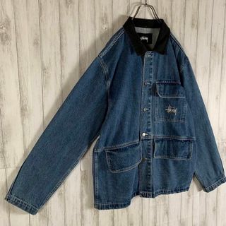 STUSSY - 【超希少モデル】ステューシー デニム 刺繍ロゴ 入手困難