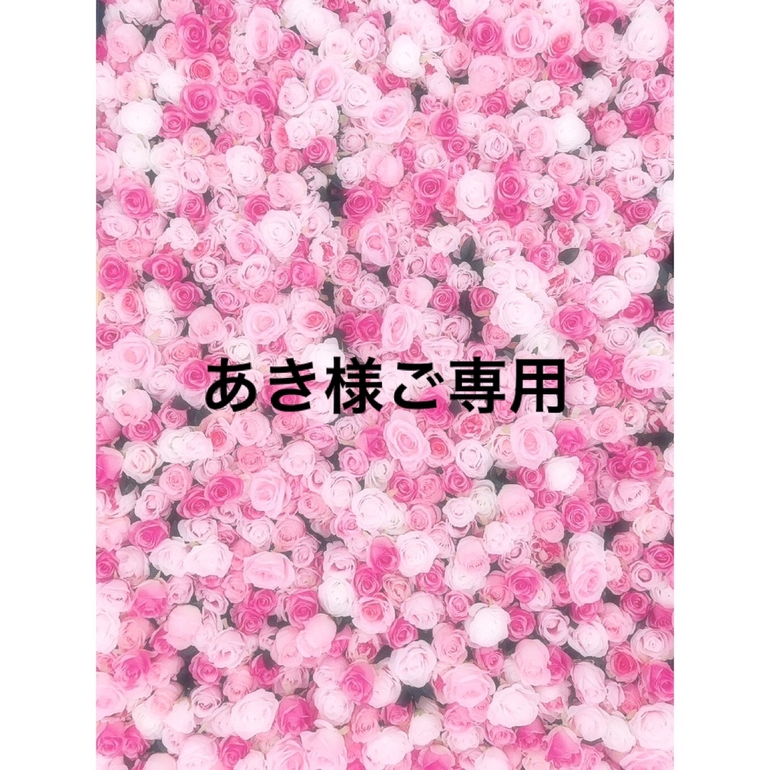 あき様ご専用です。の通販 by 🎀プロフ必読です。🎀びいる's shop｜ラクマ