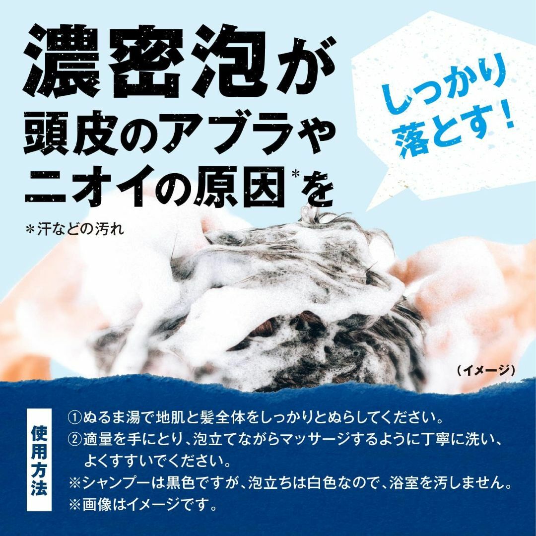 大正製薬(タイショウセイヤク)のブラックウルフ シャンプー コンディショナー セット リフレッシュ スカルプ コスメ/美容のヘアケア/スタイリング(シャンプー/コンディショナーセット)の商品写真