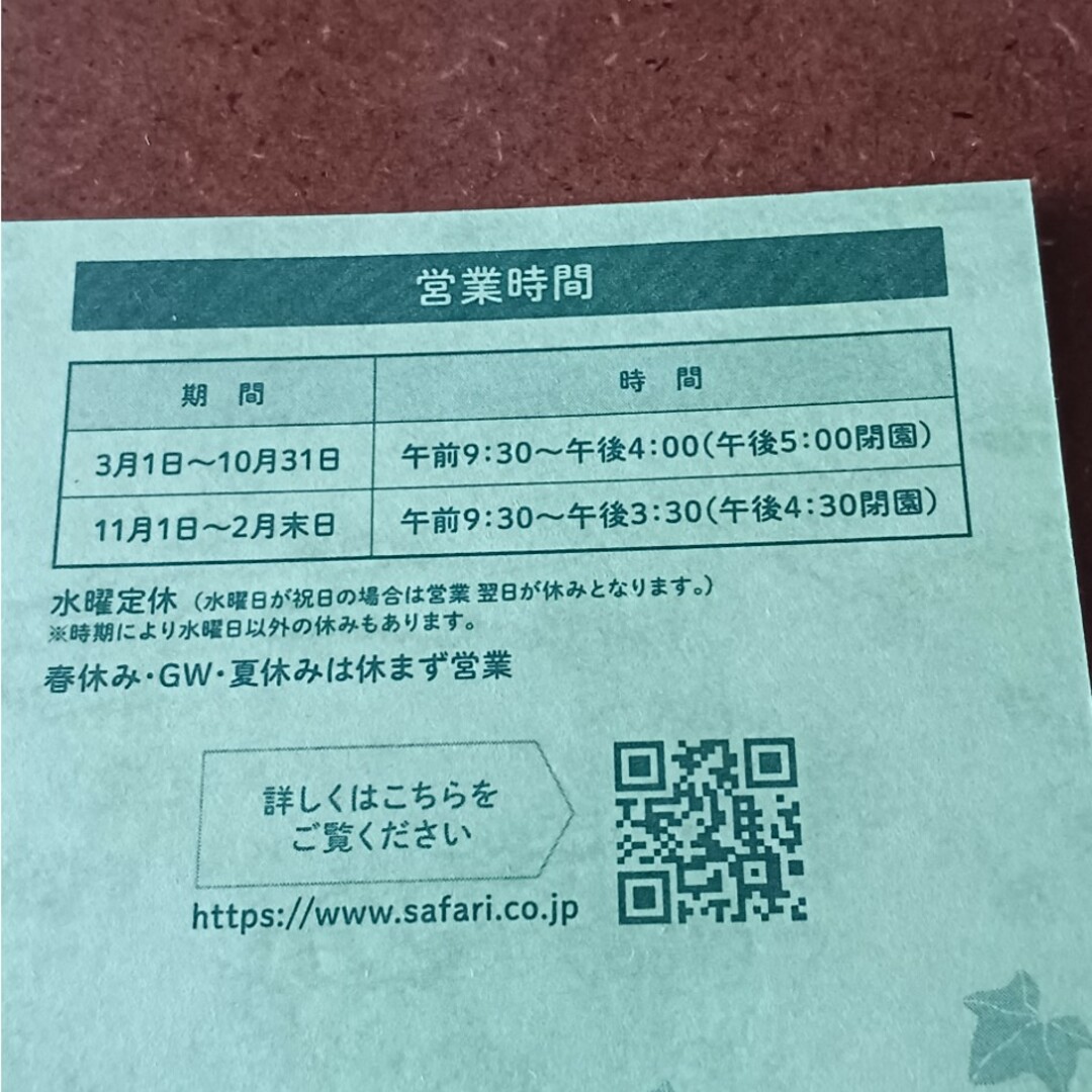 群馬サファリパーク招待券×2 チケットの施設利用券(動物園)の商品写真
