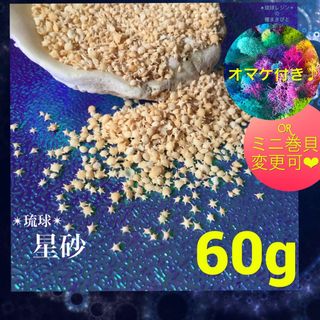 琉球* 海のたね　星砂　星の砂　60g(各種パーツ)