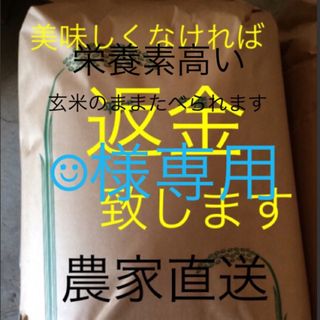 ☺︎様専用　予約15日発送　新米無農薬純こしひかり10㎏ 5分つき(米/穀物)