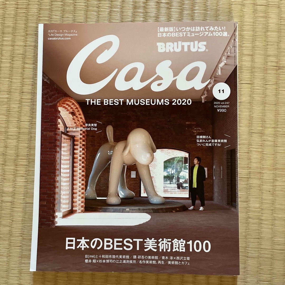 マガジンハウス(マガジンハウス)のCasa BRUTUS (カーサ・ブルータス) 2020年 11月号 エンタメ/ホビーの雑誌(生活/健康)の商品写真