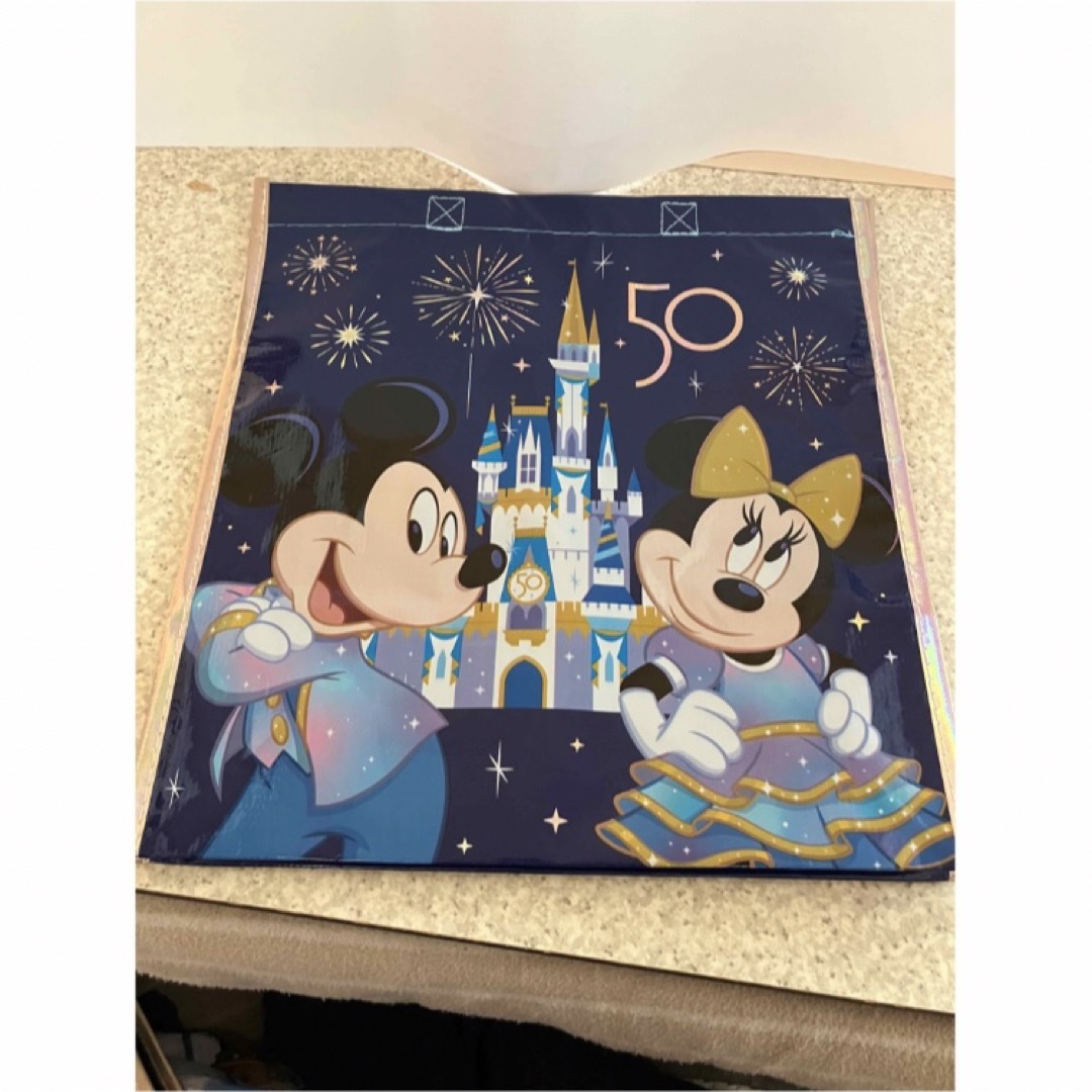 Disney - ２枚 フロリダ ウォルトディズニー wdw 50周年 エコバッグ